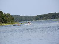 IMG_6130.jpg