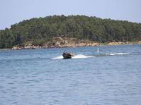 IMG_6140.jpg