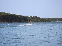 IMG_6393.jpg
