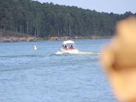 IMG_6398.jpg