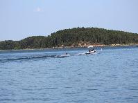 IMG_6448.jpg