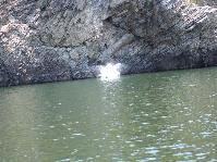 IMG_6656.jpg