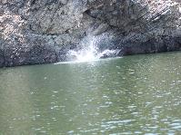IMG_6657.jpg
