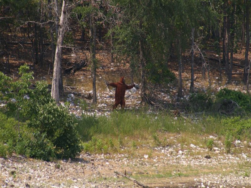 IMGP6842.jpg