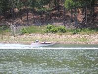 IMG_7294.jpg