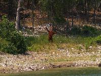 IMGP6844.jpg