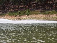 IMG_7341.jpg