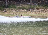 IMG_7874.jpg