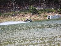 IMG_7917.jpg