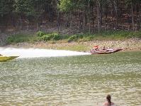 IMG_8202.jpg