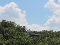 IMG_6008.jpg
