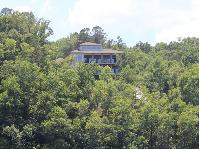 IMG_6010.jpg