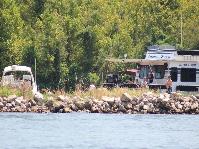 IMG_0382[1].jpg