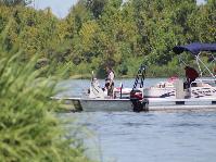 IMG_0442[1].jpg