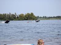 IMG_0601[1].jpg