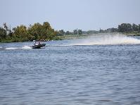 IMG_0774[1].jpg