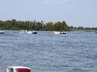 IMG_0904[1].jpg