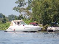 IMG_0949[1].jpg