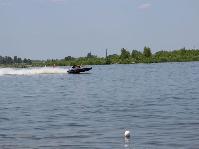 IMG_1197[1].jpg
