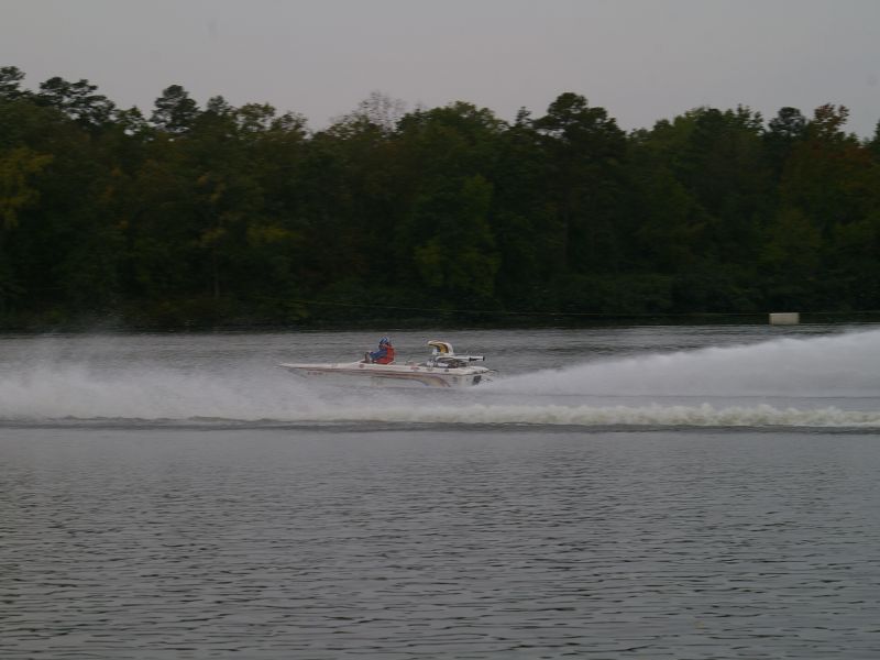 IMGP8334.jpg