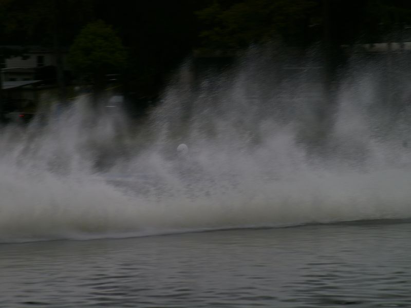 IMGP8430.jpg