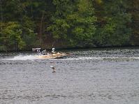 IMGP8177.jpg