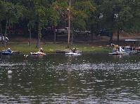 IMGP8081.jpg