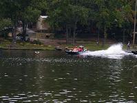 IMGP8714.jpg