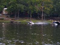 IMGP8752.jpg