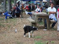 IMG_3753[1].jpg