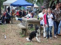 IMG_3754[1].jpg
