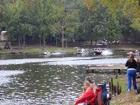 IMG_3911[1].jpg
