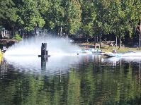 IMG_5565.jpg