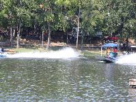 IMG_7277.jpg