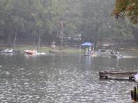 IMG_7381.jpg