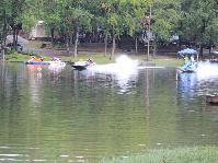 IMG_7409.jpg