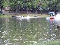 IMG_7446.jpg