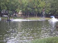IMG_7540.jpg