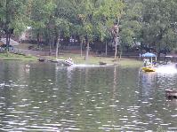 IMG_7616.jpg