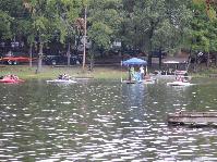 IMG_7674.jpg