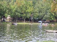 IMG_7769.jpg