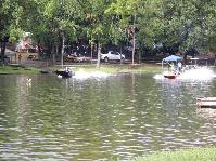 IMG_7778.jpg