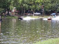 IMG_7779.jpg