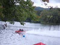 IMG_7868.jpg