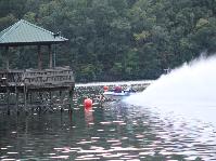 IMG_7905.jpg
