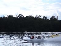 IMG_7929.jpg
