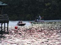 IMG_7993.jpg