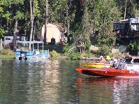 IMG_5798.jpg