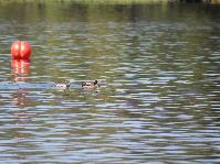 IMG_5808.jpg