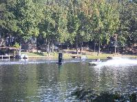IMG_5615.jpg